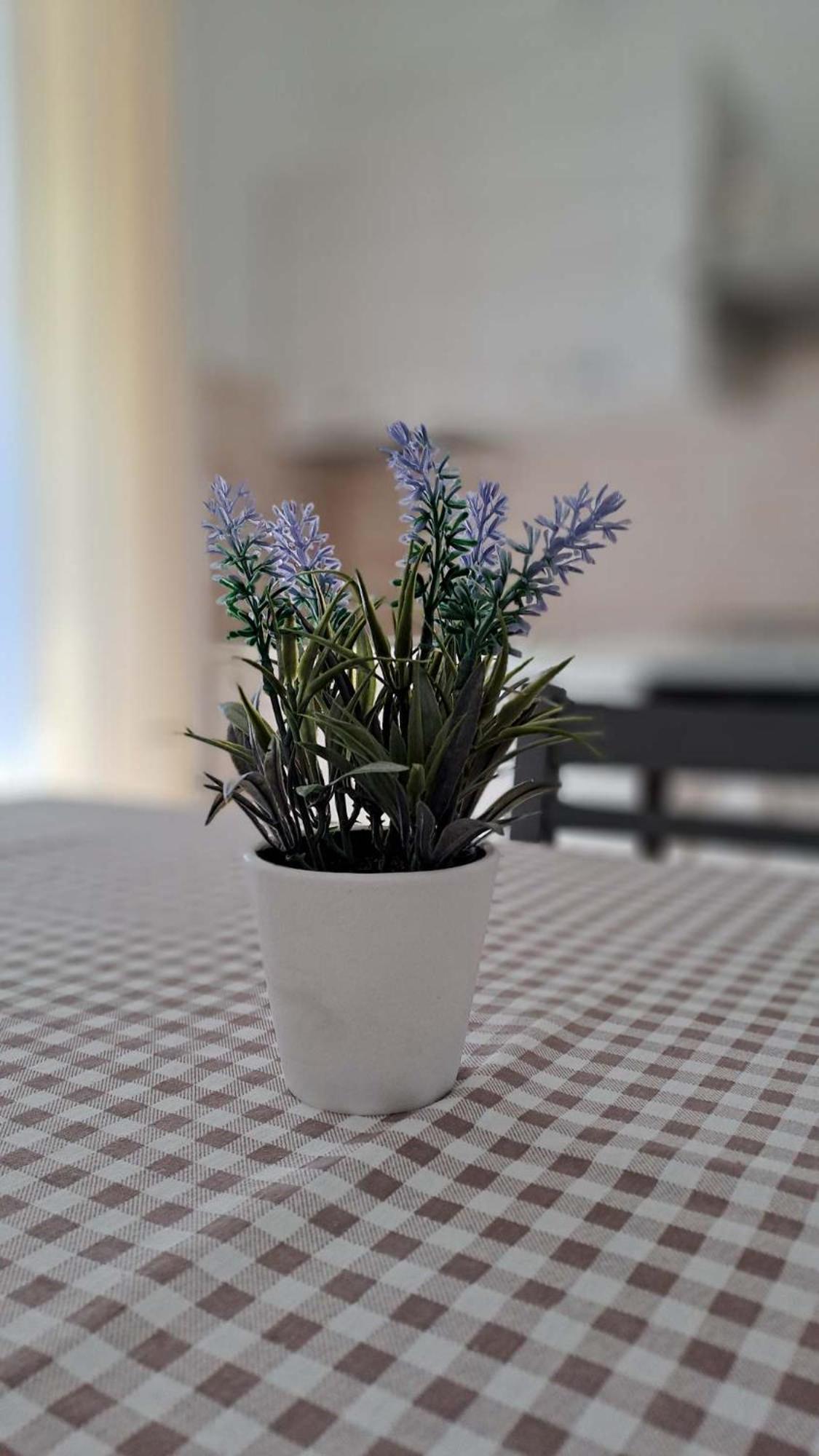 La Tappa Del Vignaiolo Home Mamoiada Luaran gambar